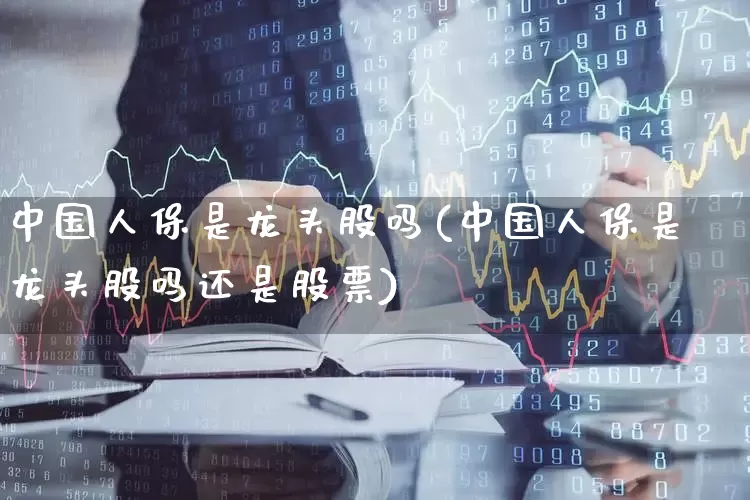 中国人保是龙头股吗(中国人保是龙头股吗还是股票)_https://www.fzdzcxj.com_创业板_第1张