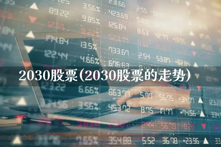 2030股票(2030股票的走势)_https://www.fzdzcxj.com_北交所_第1张