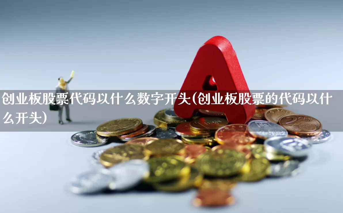 创业板股票代码以什么数字开头(创业板股票的代码以什么开头)_https://www.fzdzcxj.com_北交所_第1张