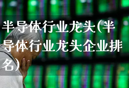 半导体行业龙头(半导体行业龙头企业排名)_https://www.fzdzcxj.com_创业板_第1张
