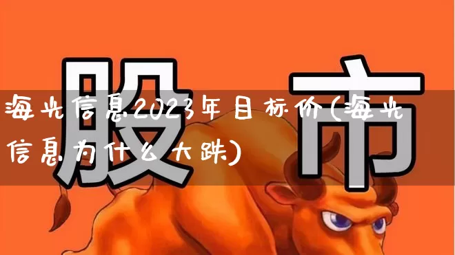 海光信息2023年目标价(海光信息为什么大跌)_https://www.fzdzcxj.com_科创板_第1张
