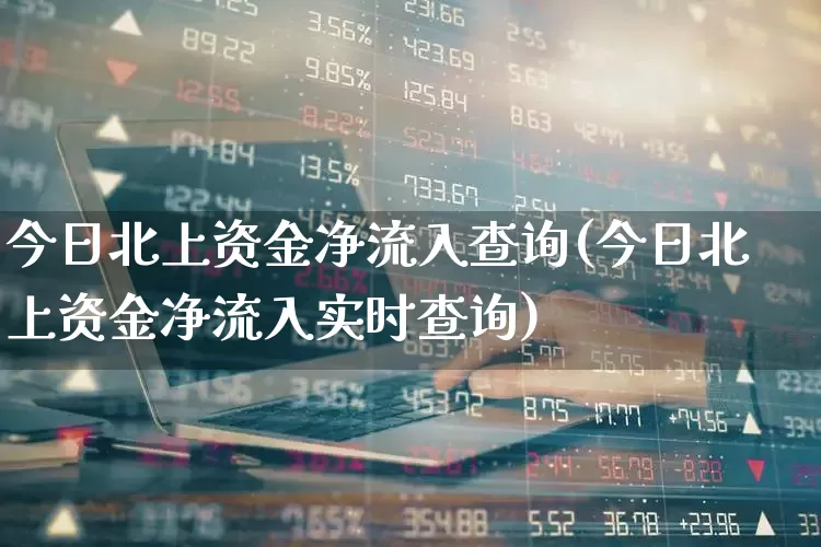 今日北上资金净流入查询(今日北上资金净流入实时查询)_https://www.fzdzcxj.com_上交所_第1张