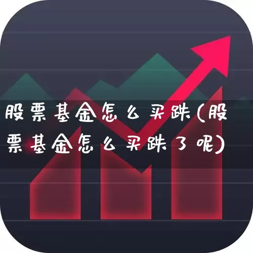 股票基金怎么买跌(股票基金怎么买跌了呢)_https://www.fzdzcxj.com_创业板_第1张