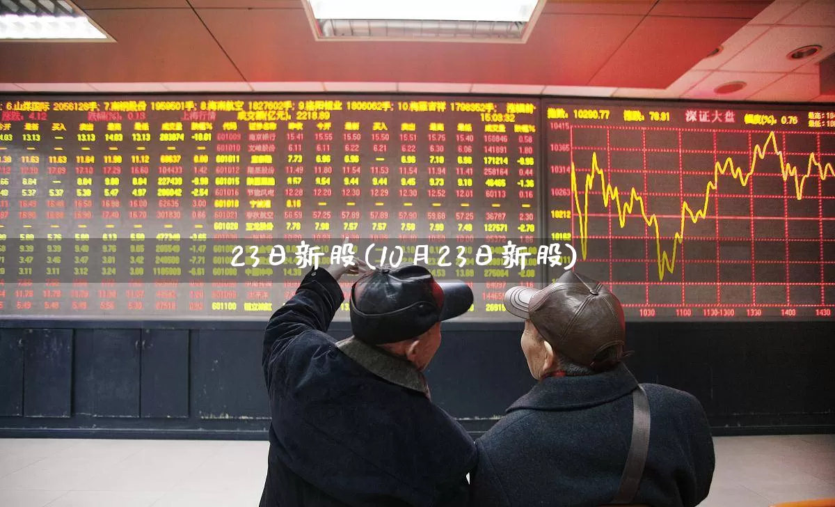 23日新股(10月23日新股)_https://www.fzdzcxj.com_上交所_第1张