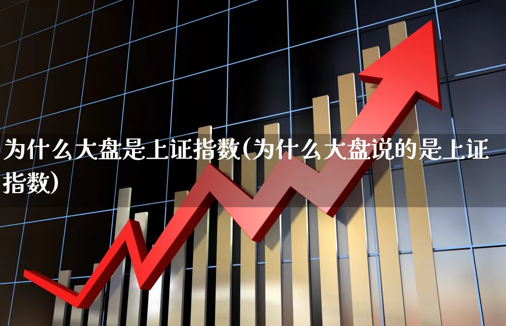为什么大盘是上证指数(为什么大盘说的是上证指数)_https://www.fzdzcxj.com_创业板_第1张