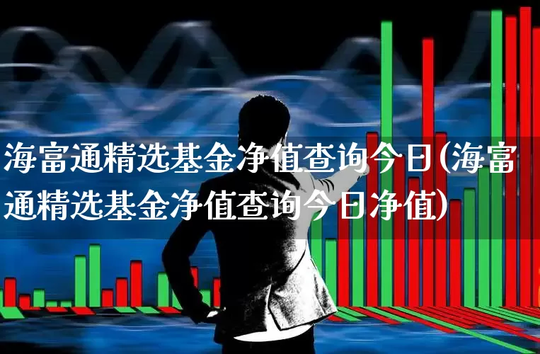 海富通精选基金净值查询今日(海富通精选基金净值查询今日净值)_https://www.fzdzcxj.com_深交所_第1张