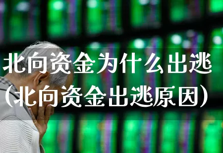 北向资金为什么出逃(北向资金出逃原因)_https://www.fzdzcxj.com_创业板_第1张