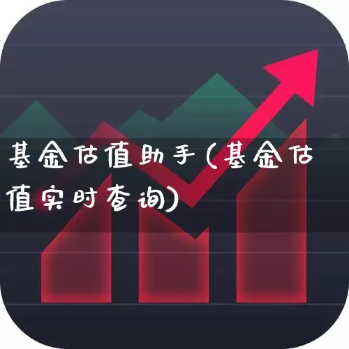 基金估值助手(基金估值实时查询)_https://www.fzdzcxj.com_深交所_第1张