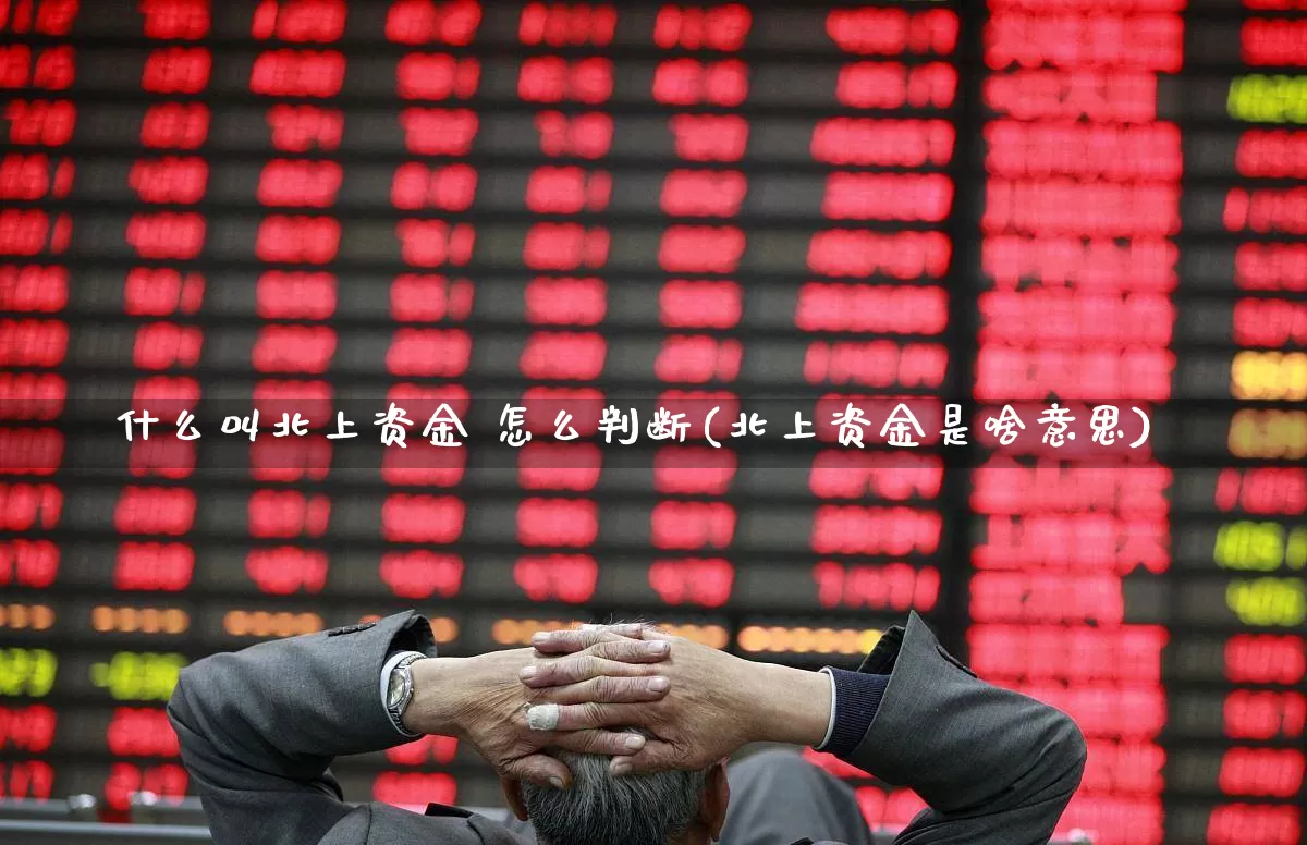 什么叫北上资金 怎么判断(北上资金是啥意思)_https://www.fzdzcxj.com_科创板_第1张