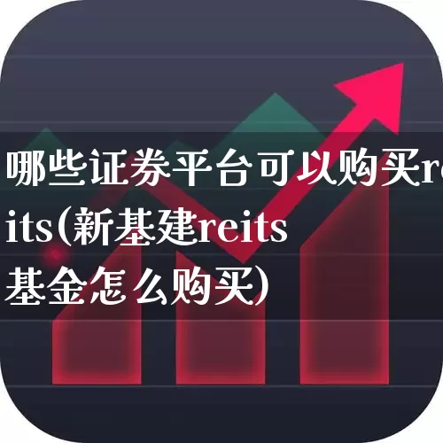 哪些证券平台可以购买reits(新基建reits基金怎么购买)_https://www.fzdzcxj.com_创业板_第1张