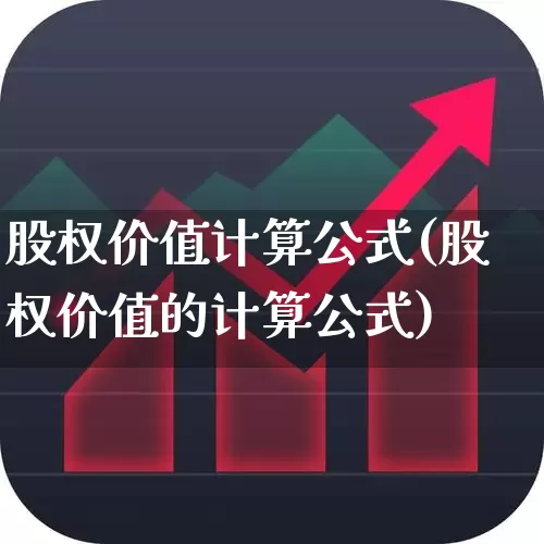 股权价值计算公式(股权价值的计算公式)_https://www.fzdzcxj.com_创业板_第1张