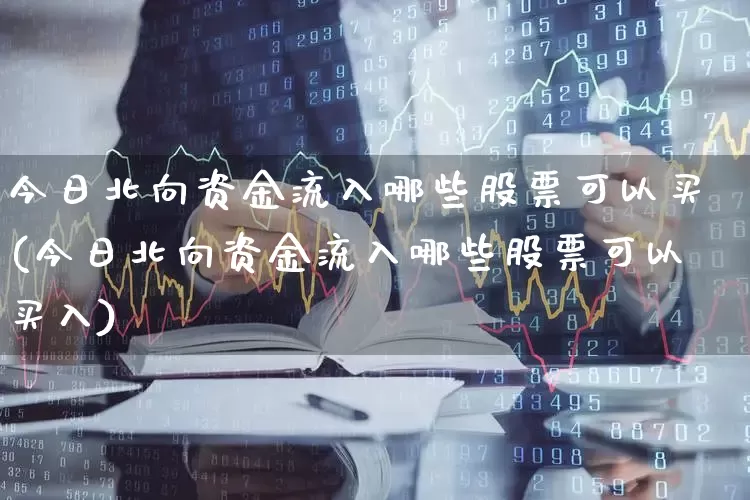 今日北向资金流入哪些股票可以买(今日北向资金流入哪些股票可以买入)_https://www.fzdzcxj.com_深交所_第1张