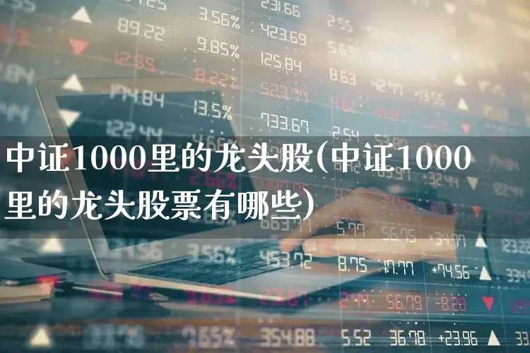 中证1000里的龙头股(中证1000里的龙头股票有哪些)_https://www.fzdzcxj.com_科创板_第1张