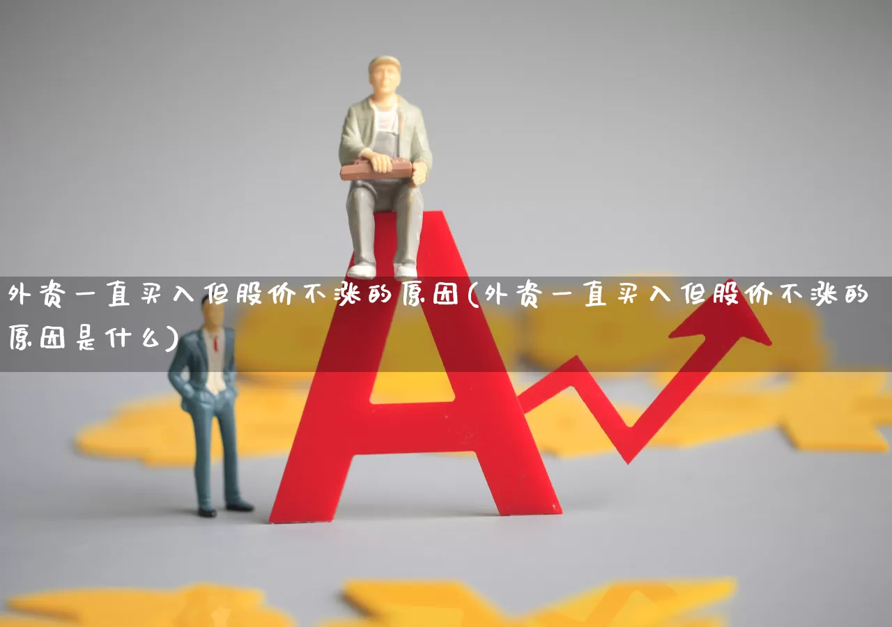 外资一直买入但股价不涨的原因(外资一直买入但股价不涨的原因是什么)_https://www.fzdzcxj.com_上交所_第1张