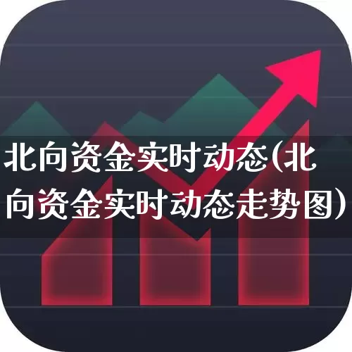 北向资金实时动态(北向资金实时动态走势图)_https://www.fzdzcxj.com_北交所_第1张