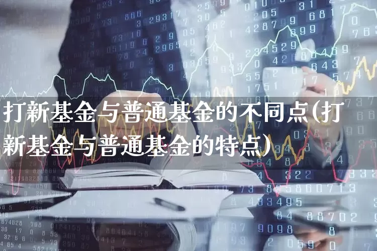 打新基金与普通基金的不同点(打新基金与普通基金的特点)_https://www.fzdzcxj.com_创业板_第1张