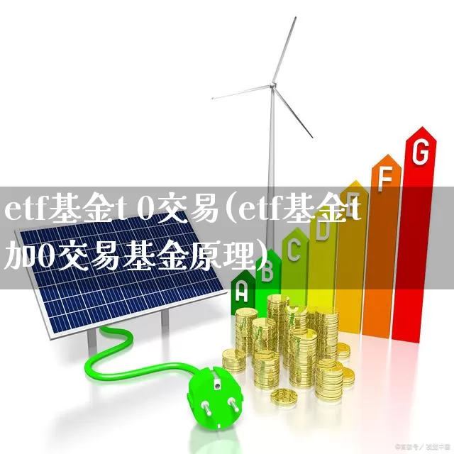 etf基金t 0交易(etf基金t加0交易基金原理)_https://www.fzdzcxj.com_创业板_第1张