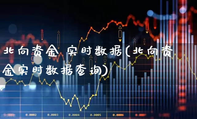 北向资金 实时数据(北向资金实时数据查询)_https://www.fzdzcxj.com_深交所_第1张