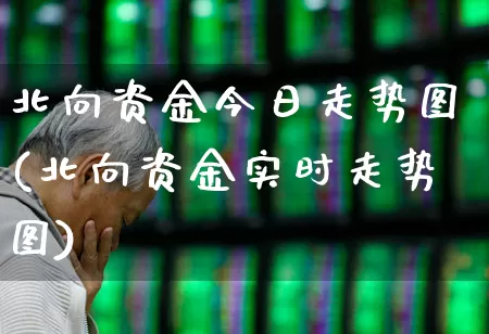 北向资金今日走势图(北向资金实时走势图)_https://www.fzdzcxj.com_科创板_第1张