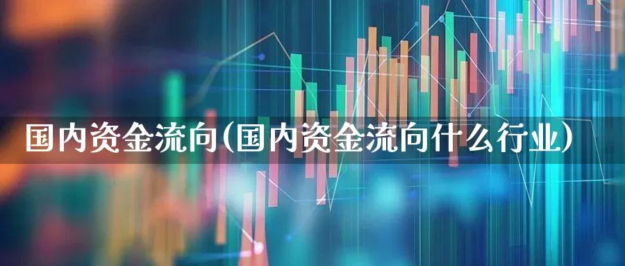 国内资金流向(国内资金流向什么行业)_https://www.fzdzcxj.com_创业板_第1张