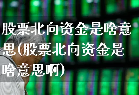 股票北向资金是啥意思(股票北向资金是啥意思啊)_https://www.fzdzcxj.com_上交所_第1张