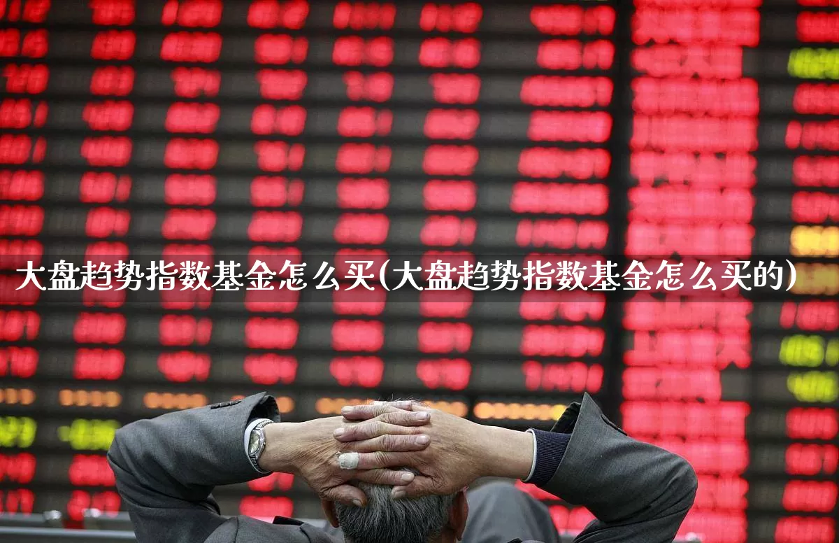 大盘趋势指数基金怎么买(大盘趋势指数基金怎么买的)_https://www.fzdzcxj.com_上交所_第1张