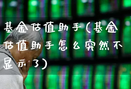 基金估值助手(基金估值助手怎么突然不显示了)_https://www.fzdzcxj.com_深交所_第1张