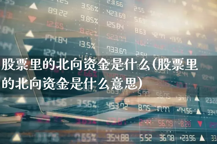 股票里的北向资金是什么(股票里的北向资金是什么意思)_https://www.fzdzcxj.com_深交所_第1张