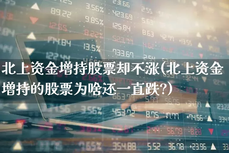 北上资金增持股票却不涨(北上资金增持的股票为啥还一直跌?)_https://www.fzdzcxj.com_科创板_第1张