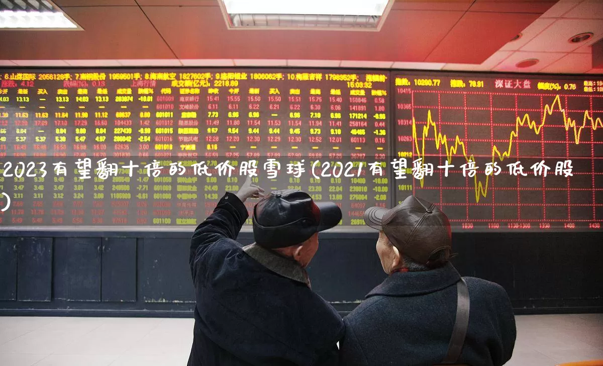 2023有望翻十倍的低价股雪球(2021有望翻十倍的低价股)_https://www.fzdzcxj.com_创业板_第1张