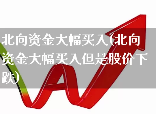 北向资金大幅买入(北向资金大幅买入但是股价下跌)_https://www.fzdzcxj.com_北交所_第1张