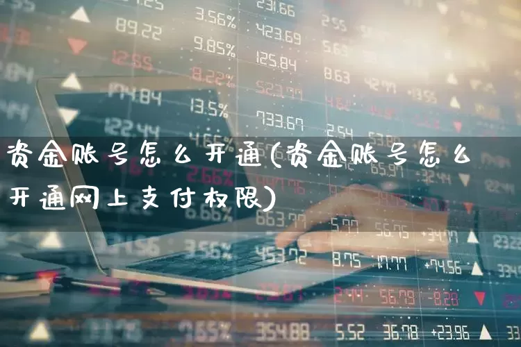 资金账号怎么开通(资金账号怎么开通网上支付权限)_https://www.fzdzcxj.com_创业板_第1张