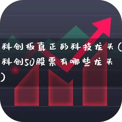 科创板真正的科技龙头(科创50股票有哪些龙头)_https://www.fzdzcxj.com_北交所_第1张
