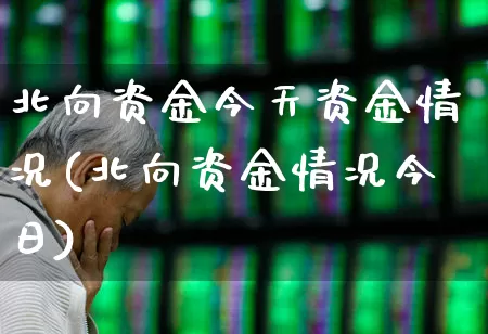 北向资金今天资金情况(北向资金情况今日)_https://www.fzdzcxj.com_创业板_第1张