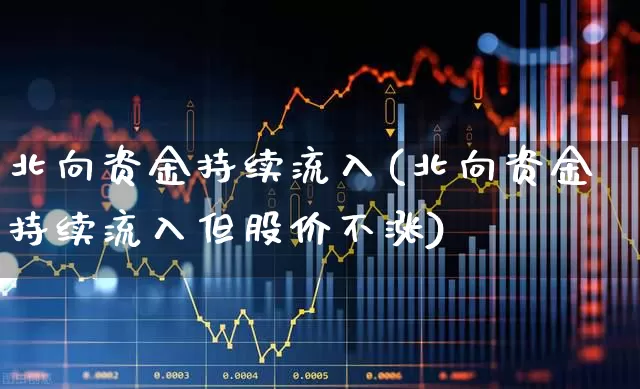 北向资金持续流入(北向资金持续流入但股价不涨)_https://www.fzdzcxj.com_北交所_第1张