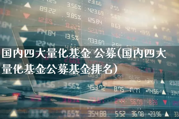 国内四大量化基金 公募(国内四大量化基金公募基金排名)_https://www.fzdzcxj.com_创业板_第1张