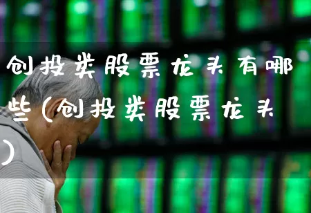 创投类股票龙头有哪些(创投类股票龙头)_https://www.fzdzcxj.com_创业板_第1张