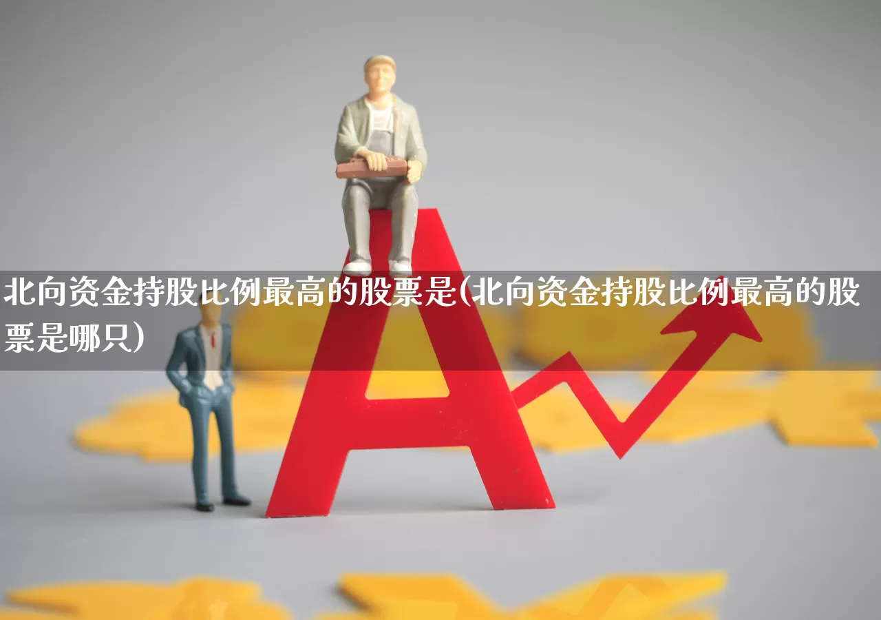 北向资金持股比例最高的股票是(北向资金持股比例最高的股票是哪只)_https://www.fzdzcxj.com_科创板_第1张