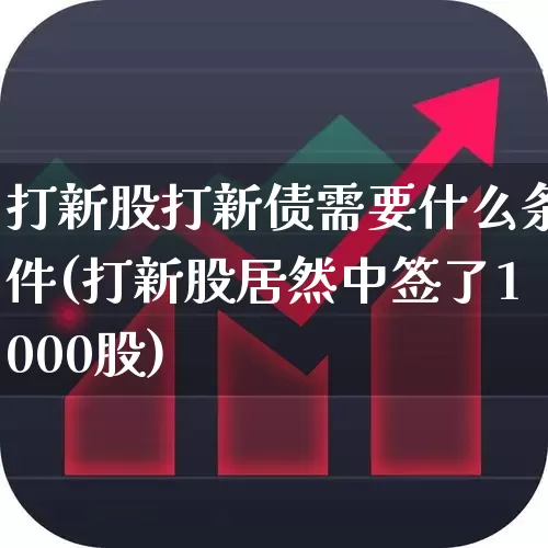 打新股打新债需要什么条件(打新股居然中签了1000股)_https://www.fzdzcxj.com_上交所_第1张