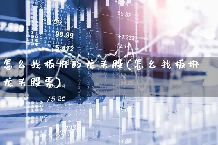 怎么找板块的龙头股(怎么找板块龙头股票)_https://www.fzdzcxj.com_科创板_第1张