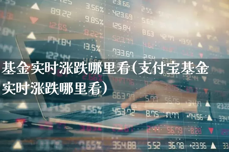 基金实时涨跌哪里看(支付宝基金实时涨跌哪里看)_https://www.fzdzcxj.com_上交所_第1张