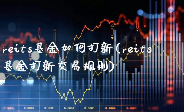 reits基金如何打新(reits基金打新交易规则)_https://www.fzdzcxj.com_北交所_第1张