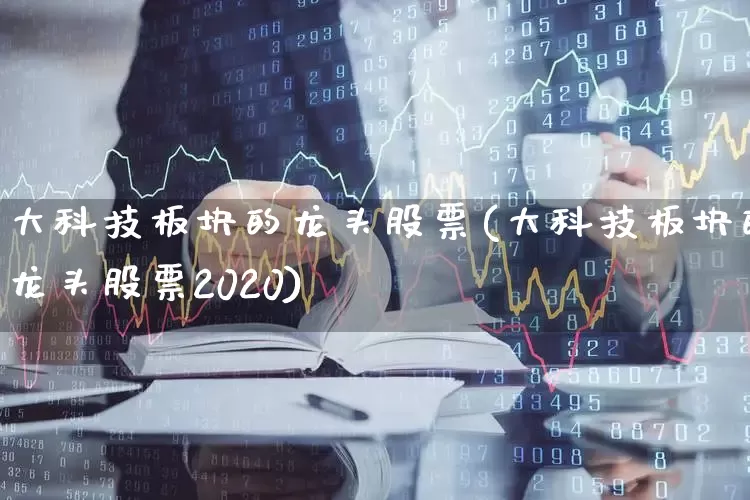 大科技板块的龙头股票(大科技板块的龙头股票2020)_https://www.fzdzcxj.com_北交所_第1张