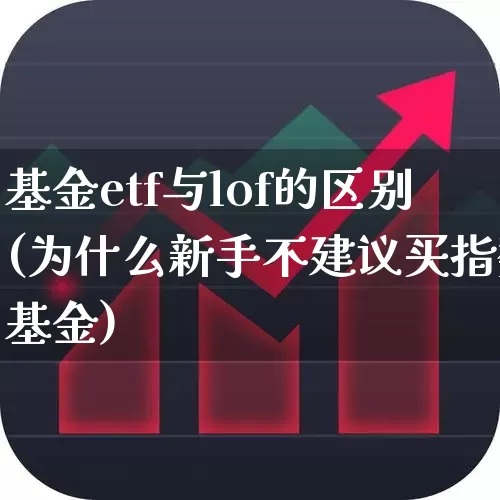 基金etf与lof的区别(为什么新手不建议买指数基金)_https://www.fzdzcxj.com_北交所_第1张
