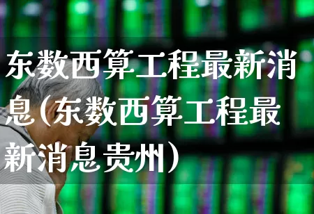东数西算工程最新消息(东数西算工程最新消息贵州)_https://www.fzdzcxj.com_深交所_第1张