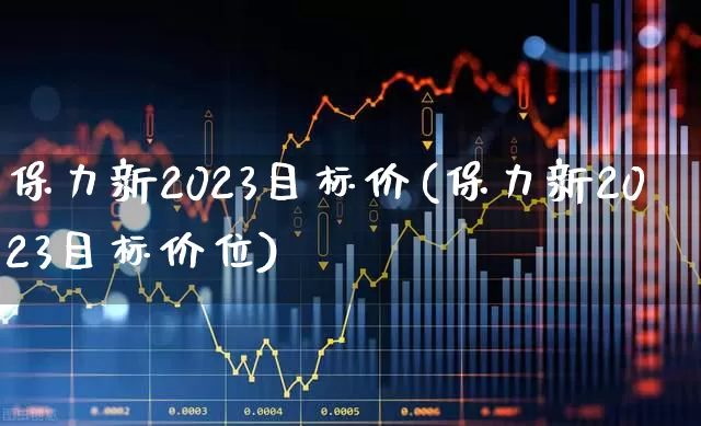保力新2023目标价(保力新2023目标价位)_https://www.fzdzcxj.com_北交所_第1张