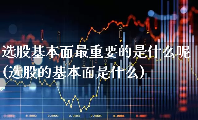 选股基本面最重要的是什么呢(选股的基本面是什么)_https://www.fzdzcxj.com_科创板_第1张
