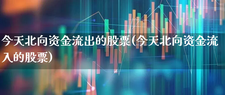今天北向资金流出的股票(今天北向资金流入的股票)_https://www.fzdzcxj.com_深交所_第1张