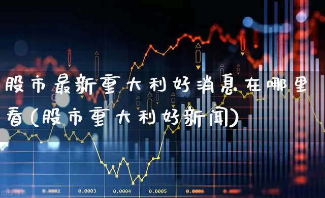股市最新重大利好消息在哪里看(股市重大利好新闻)_https://www.fzdzcxj.com_上交所_第1张