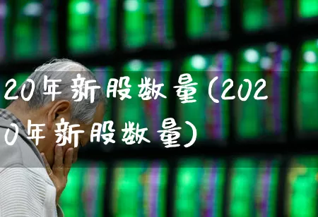 20年新股数量(2020年新股数量)_https://www.fzdzcxj.com_北交所_第1张